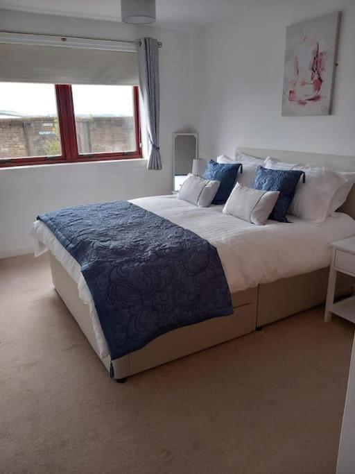 邓迪Lovely 2 Bed Flat-Great Location公寓 外观 照片